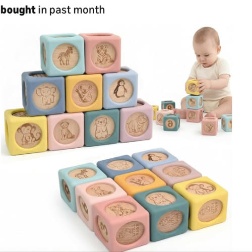 Amazon.com : little rawr silicone bkocks