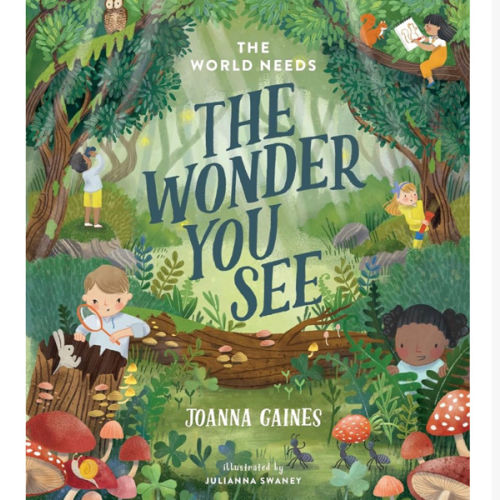 The World Needs the Wonder You See