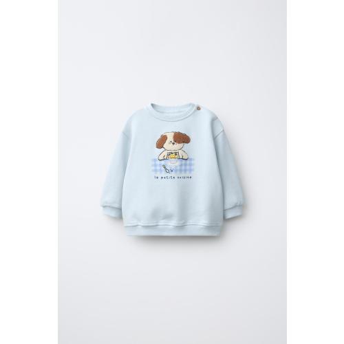 TERRY DOG SWEATSHIRT - Light blue | ZARA United States