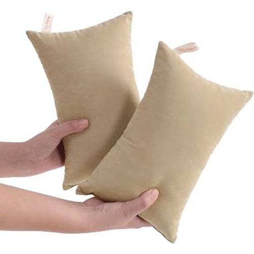 NTBAY Tiny Pillows, Set of 2, 7"x11", Light Taupe