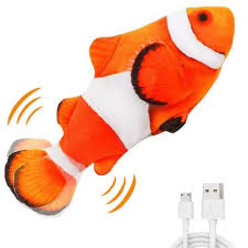 patting fish - Google Search