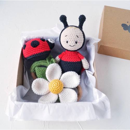 Ladybug baby gift box with ladybug baby rattle, daisy flower rattle and ladybug stuffed toy, Baby in bloom shower gift, Personalized gift