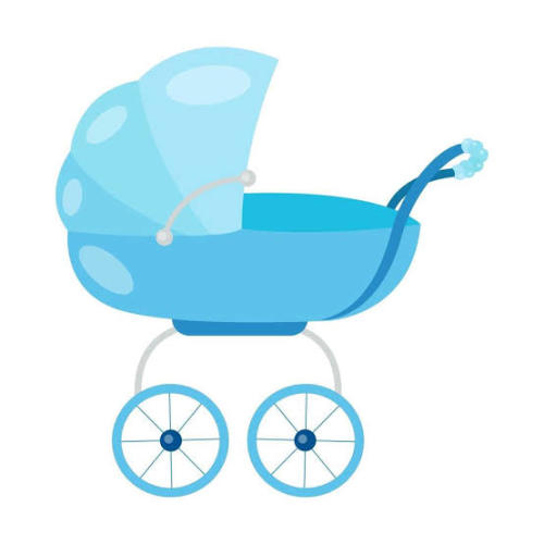 Car seats & stroller fund