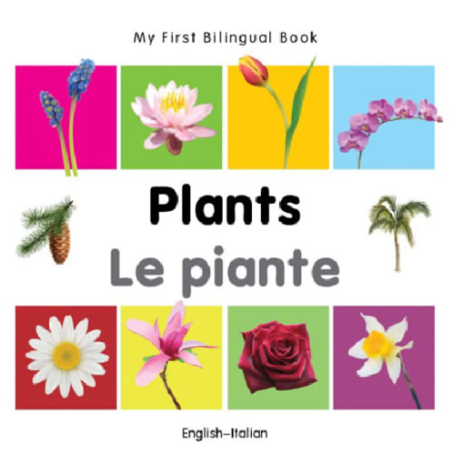 My First Bilingual Book-Plants (English-Italian) by Milet Publishing, Board Book | Barnes & Noble®
