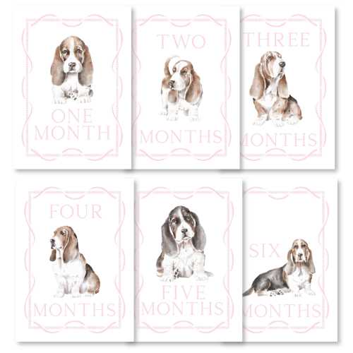 Basset Hound Baby Milestone Cards: First Year Photo Props