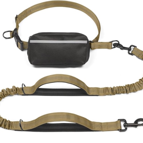 Hands Free Dog Leash