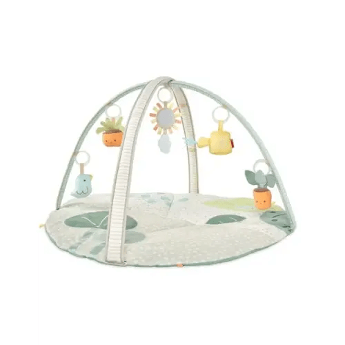 Garden Oasis Activity Gym - Skip Hop | Carter's