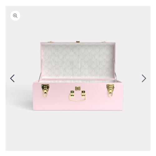 Petite Trunk - Pink | Petite Keep