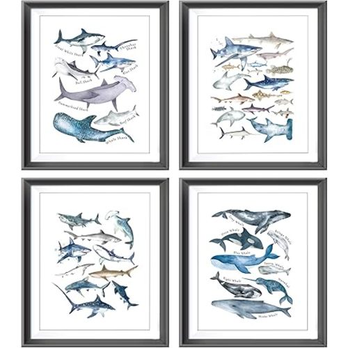 Watercolor Rustic Sharks Whales Blue Sea Ocean Animal Poster Prints for Home Coastal House Bedroom Nursery Room Decor,Educational Shark Themed Decorations Prints Wall Art Unframed 4pcs 8x10inches