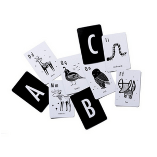 Animal Alphabet Cards – Citizen Kid