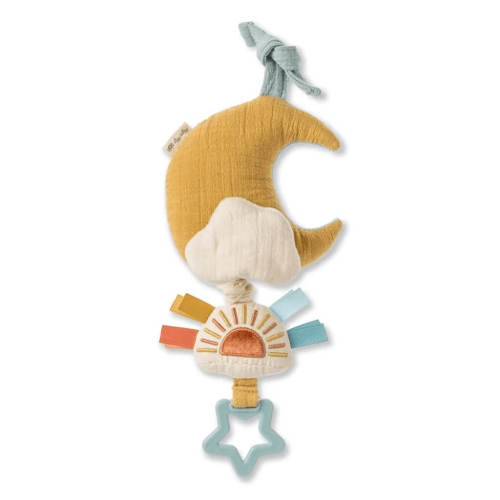 Bitzy Notes Musical Pull Down Toy