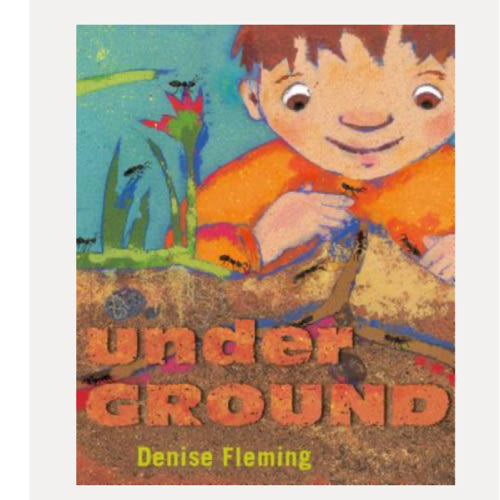 underGROUND (Hardcover) | Copperfield’s Books Inc.