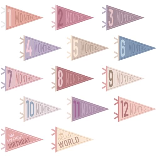 VitalCozy 14 Pcs Baby Milestone Pennant Signs Monthly Milestone Banner Flags Pennant Triangle Banner Age Flag Signs for Boy Girl Newborn Birthday Party Decor(Pastel Color)
