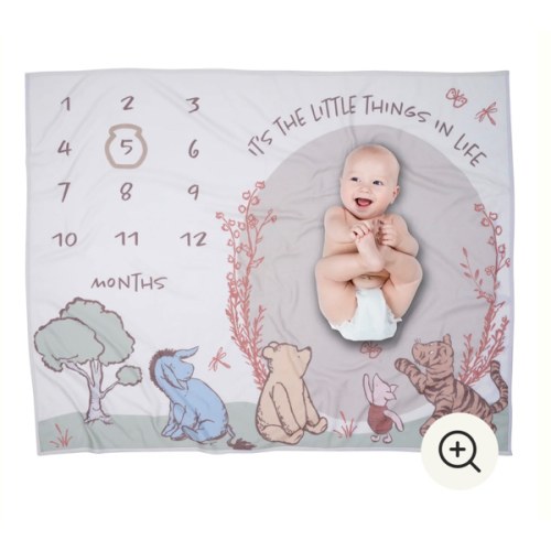 Lambs & Ivy Disney Pooh Bear and Pals Photo Opp Milestone Fleece Baby Blanket