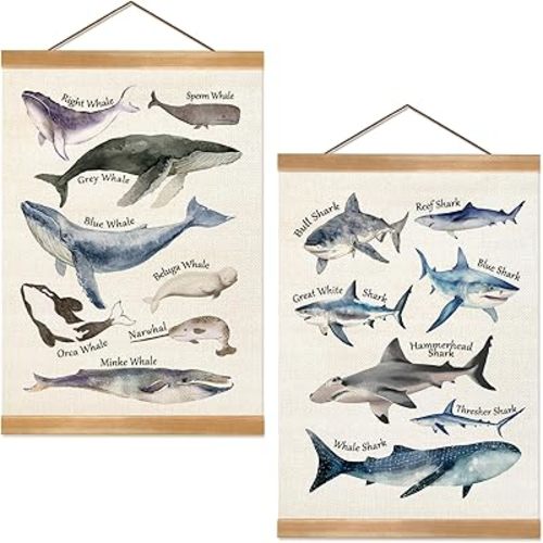 ZTGDA Sharks and Whales Posters, Sea Animals Shark Posters Wall Art, Educational Poster for Kid Classroom Decorations Kids Room Home Nursery Playroom, Set of 2