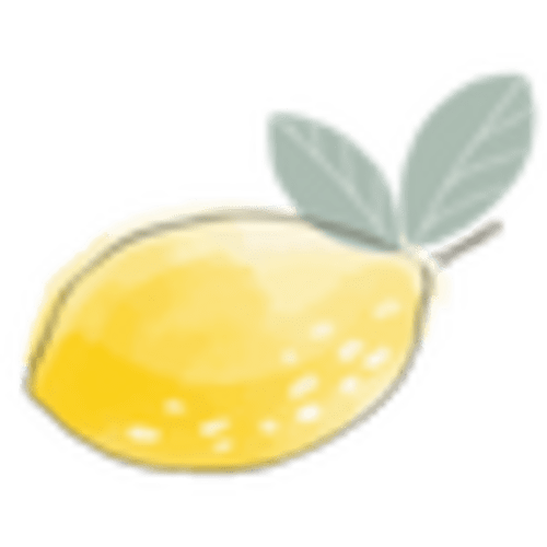 Steel Sleeper – Lemon & Loom