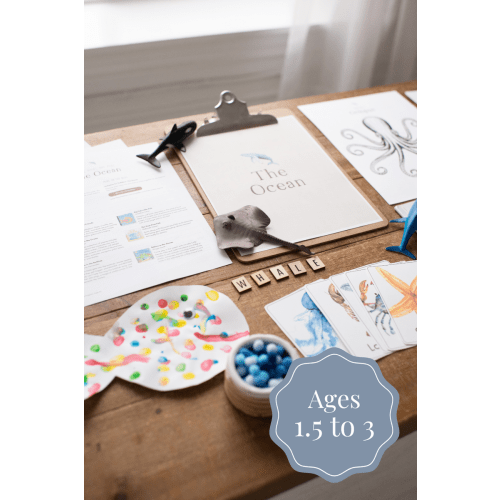 Playful Days | Play-Based Curriculum for Ages 18 Months to 3 Years – How Wee Learn