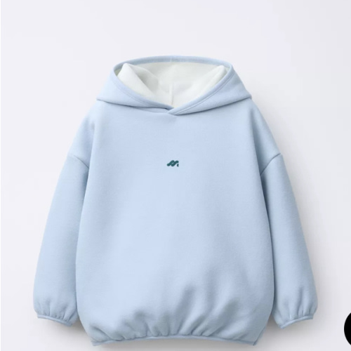 HOODIE FLEECE LINED WITH LOGO - Blue | ZARA United States