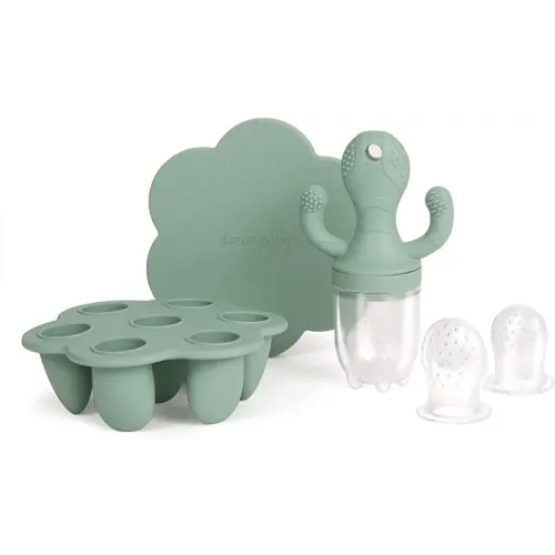 Little Twig Baby Fruit Feeder Pacifier Teether