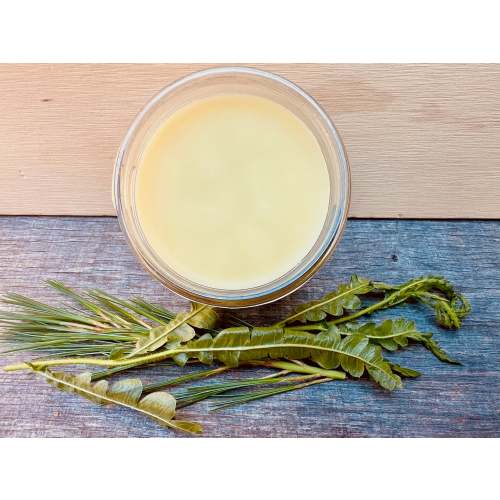 Tallow Salve- Nature's Nourishment for your Skin – Fertile Ground Apothecary