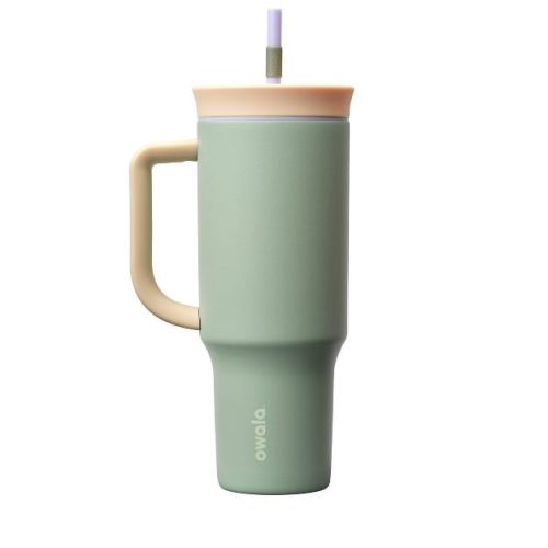 Owala 40oz Stainless Steel Straw Tumbler - Misty Meadow