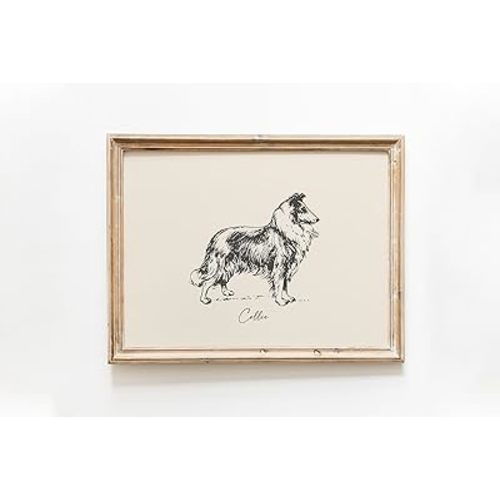 Vintage Dog Print, Collie Print, Dog Drawing Farmhouse Countryside Wall Art Vintage Collie 206