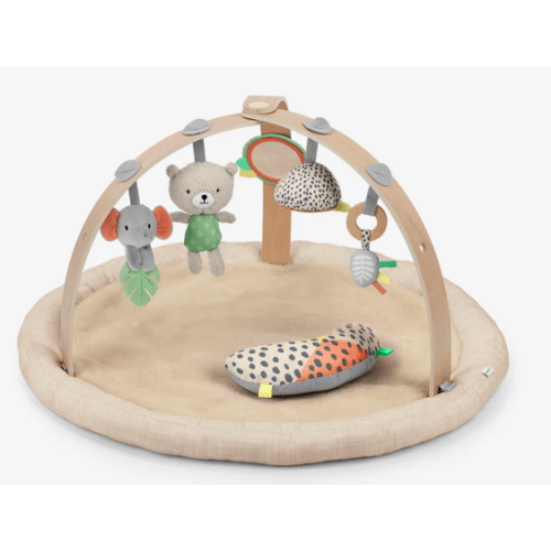 Ingenuity Every Season Plush Lambswool Play Gym & Reviews | Wayfair