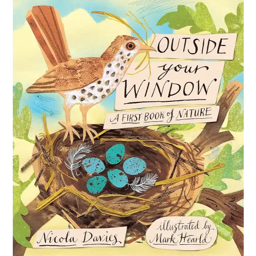 Outside Your Window: A First Book of Nature