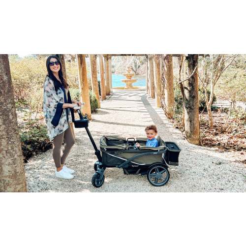 anthem stroller wagons spring – Gladly Family