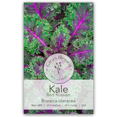 Gaea's Blessing Seeds - Kale Seeds - Non-GMO Seeds with Easy to Follow Planting Instructions - Open Pollinated, Untreated Heirloom (Red Russian)