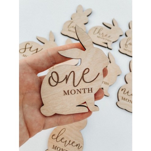 Bunny Monthly Milestone For Baby Photos | Monthly Bunnies Milestone Marker | Baby Gift | Milestone Cards | Cute Monthly Baby Photo Cards