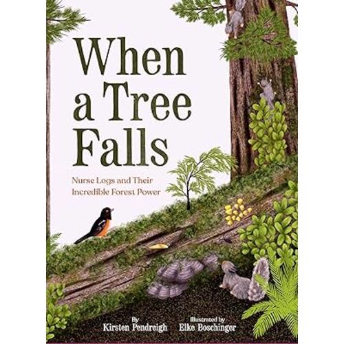 When a Tree Falls: Nurse Logs and Their Incredible Forest Power