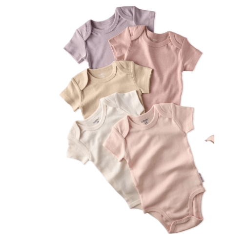 AVERY 5-Pack Short Sleeve Bodysuits, Sorbet - butterblu | Maisonette
