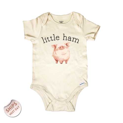 Little Ham Baby Bodysuit, Funny Baby Clothes, Baby Shower Gift, Pregnancy Reveal, Pig Baby Outfit, Farm Animal Little Pig Gift, 2000787
