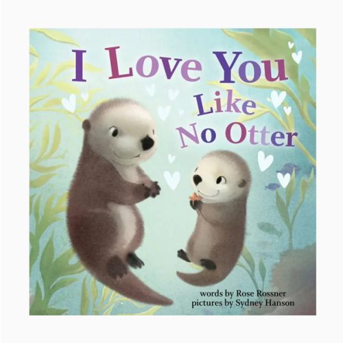 I Love You Like No Other Story Book