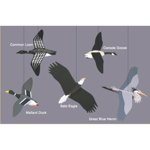 Wilderness Birds Mobile