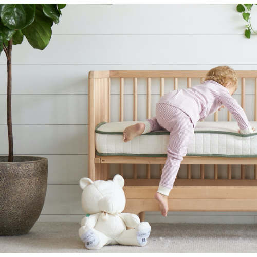 Best Affordable & Organic Crib Mattress | Avocado Green Mattress