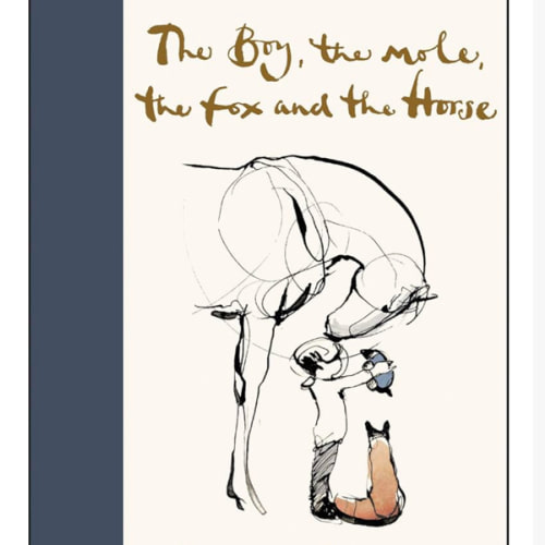 The Boy, the Mole, the Fox and the Horse: Inspiring Conversations on Hope, Love and Personal Growth