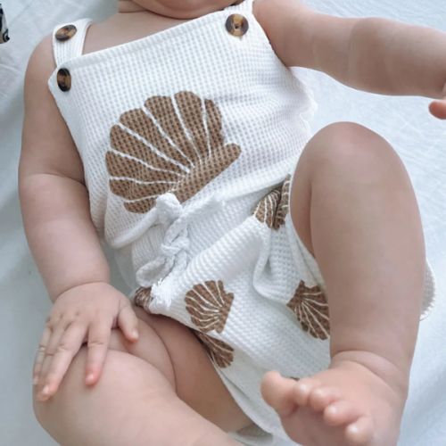 Seashell Set