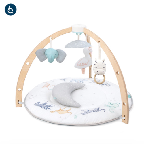 Baby Activity Gym | aden + anais
