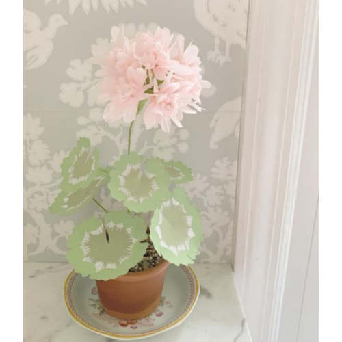 Paper Geranium - Small blush blossom with moss and mint leaves