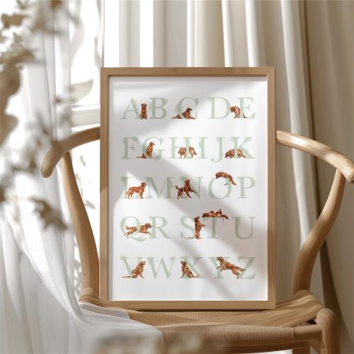 RED GOLDEN RETRIEVER alphabet poster. Sage Green Puppy abc poster. Golden Retriever Dog alphabet print. Educational Puppy Nursery Decor