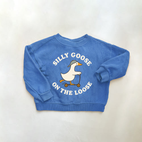 SILLY GOOSE ON THE LOOSE Baby & Kids Pattern Blue Sweatshirt