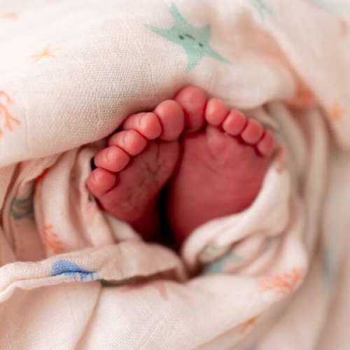 Starfish Swaddle - Bamboo Little | Maisonette