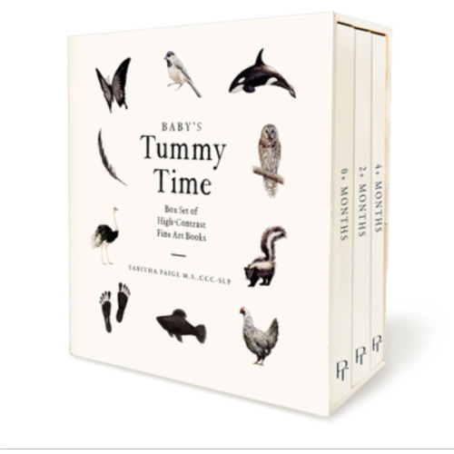Baby's Tummy Time Book Box Set: A 3-Book Box Set of High-Contrast Art for Visual Stimulation at Tummy Time (Our Little Adventures Series #7) | Rediscovered Books
