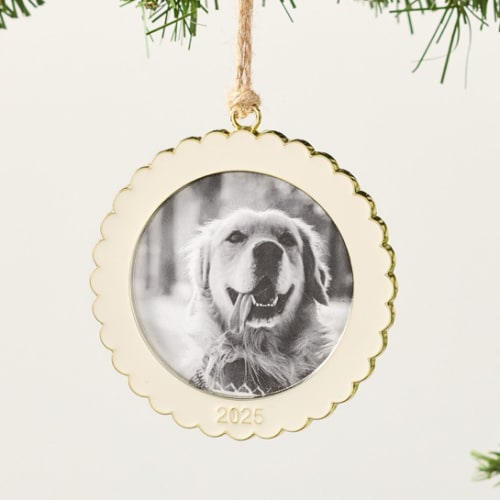 Dated Enamel Frame Ornament 2025 | Pottery Barn