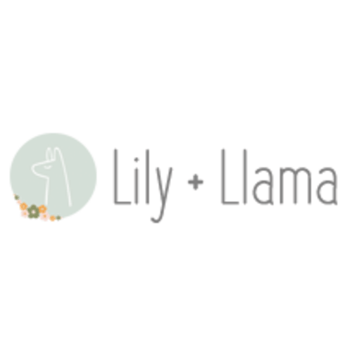 Pre-Packed Hospital Bag for Labor and Delivery - Lily + Llama