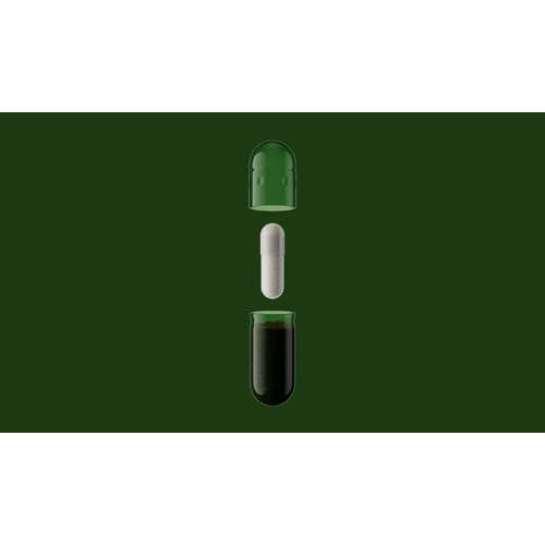 Seed • DS-01® Daily Synbiotic | Best Selling Probiotic | Best Price Available - Seed