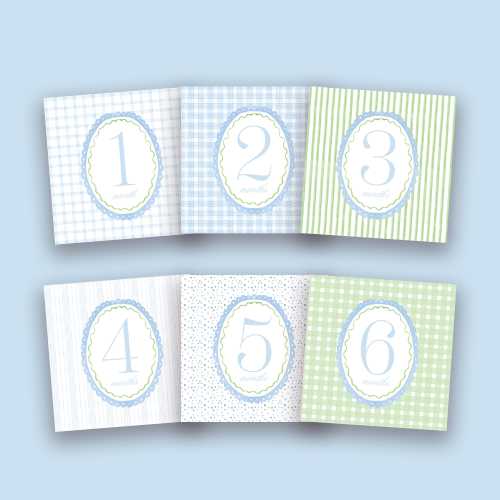 READY TO SHIP Watercolor Baby Boy Monthly  Milestone Cards | Blue & Green Grandmillennial Design