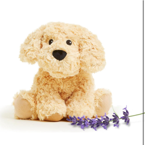 Golden Dog Warmies Junior